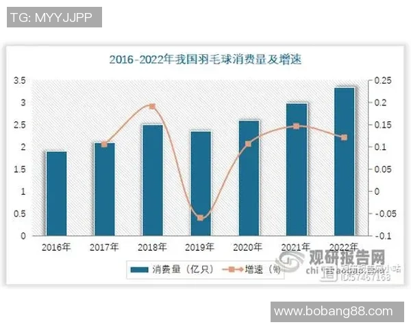 西安羽毛球队的节奏分析与未来发展方向探讨