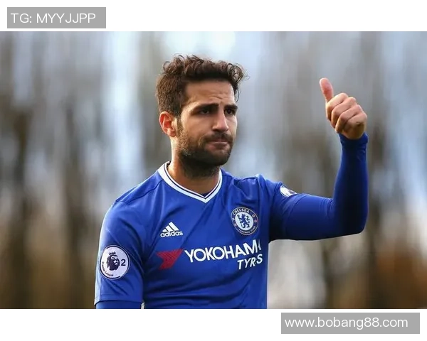 足球明星与医生歌手之间的选择与人生价值的深刻思考