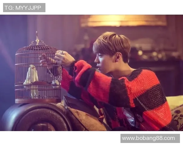 鹿晗追梦足球场的热血旅程从偶像到明星的蜕变之路